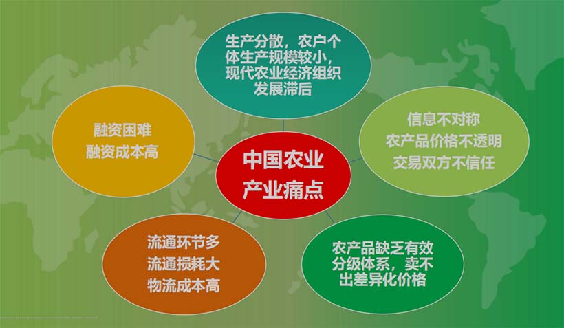 產(chǎn)業(yè)分析：中國農(nóng)業(yè)的5個(gè)關(guān)鍵問題